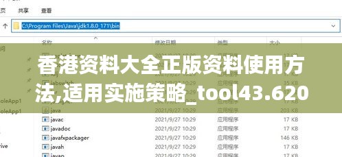 香港资料大全正版资料使用方法,适用实施策略_tool43.620