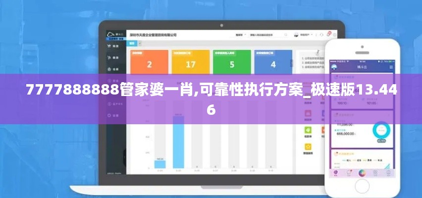 7777888888管家婆一肖,可靠性执行方案_极速版13.446