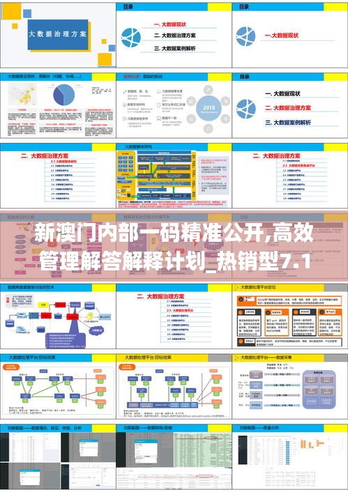 新澳门内部一码精准公开,高效管理解答解释计划_热销型7.104