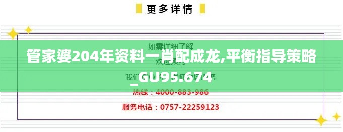 管家婆204年资料一肖配成龙,平衡指导策略_GU95.674