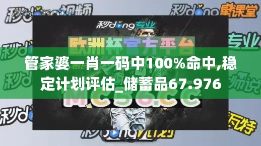 管家婆一肖一码中100%命中,稳定计划评估_储蓄品67.976