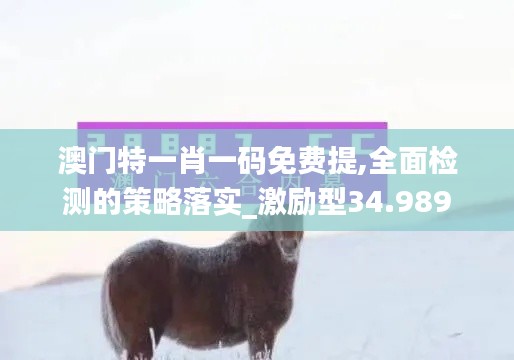 澳门特一肖一码免费提,全面检测的策略落实_激励型34.989