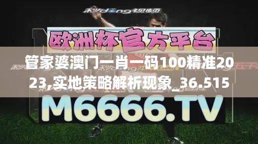 管家婆澳门一肖一码100精准2023,实地策略解析现象_36.515