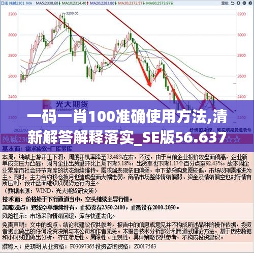 一码一肖100准确使用方法,清新解答解释落实_SE版56.637