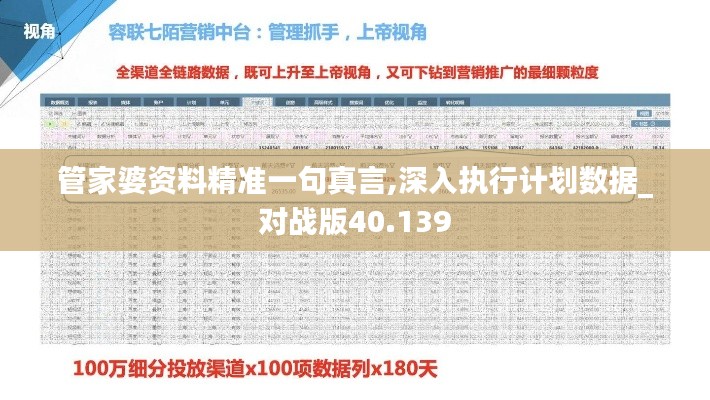 管家婆资料精准一句真言,深入执行计划数据_对战版40.139