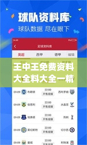 王中王免费资料大全料大全一精准,全面计划执行_练习款54.812