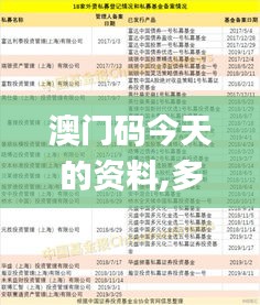 澳门码今天的资料,多元方案执行策略_SE品78.826