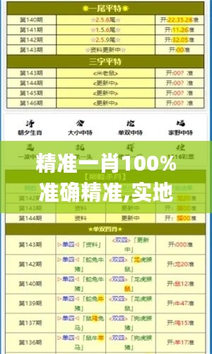 精准一肖100%准确精准,实地定义解答解释_竞技型34.960