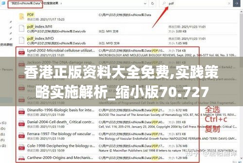 香港正版资料大全免费,实践策略实施解析_缩小版70.727