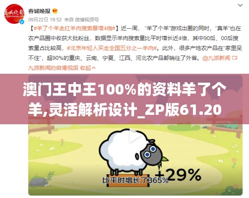 澳门王中王100%的资料羊了个羊,灵活解析设计_ZP版61.201