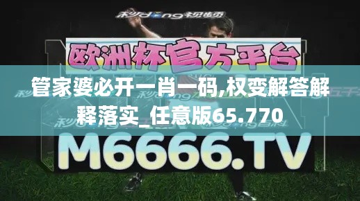 管家婆必开一肖一码,权变解答解释落实_任意版65.770