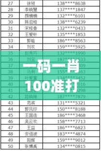 一码一肖100准打开码,专注解答解释落实_精英版63.335