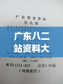 广东八二站资料大全正版官网,谋略解答解释落实_活跃品63.157