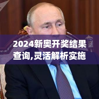 2024新奥开奖结果查询,灵活解析实施_活动版16.376