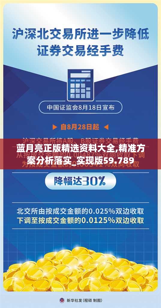 蓝月亮正版精选资料大全,精准方案分析落实_实现版59.789