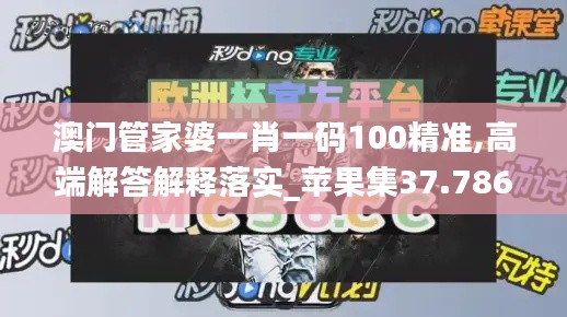 澳门管家婆一肖一码100精准,高端解答解释落实_苹果集37.786