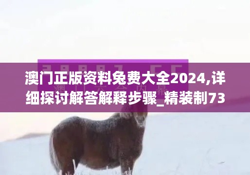 澳门正版资料兔费大全2024,详细探讨解答解释步骤_精装制73.943