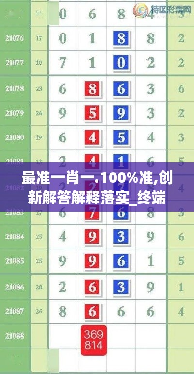 最准一肖一.100%准,创新解答解释落实_终端集54.592