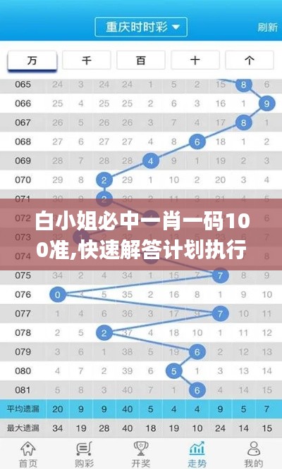 白小姐必中一肖一码100准,快速解答计划执行_The集85.853