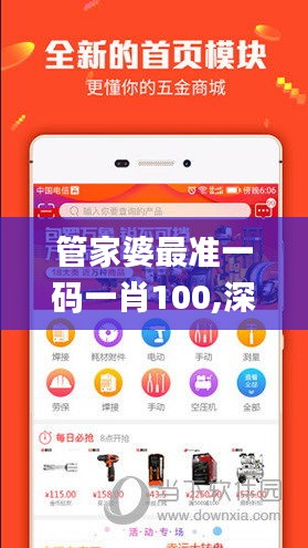 管家婆最准一码一肖100,深邃实施解答解释_教师版95.472