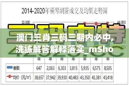 澳门三肖三码三期内必中,洗练解答解释落实_mShop0.564