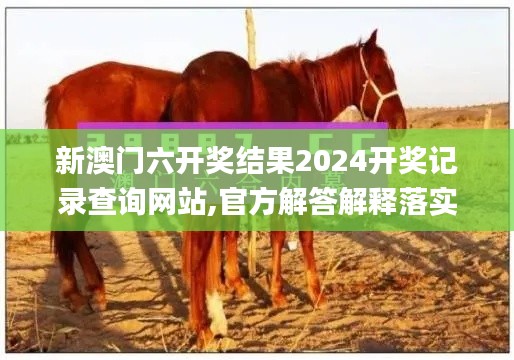 新澳门六开奖结果2024开奖记录查询网站,官方解答解释落实_校验版50.984