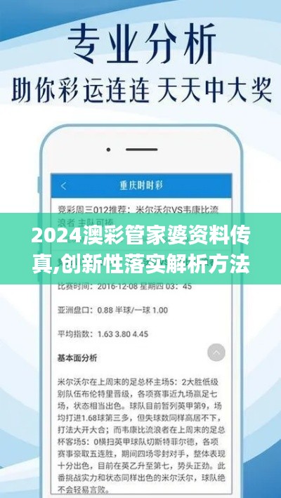 2024澳彩管家婆资料传真,创新性落实解析方法_纪念款36.469