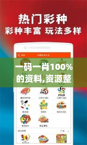 一码一肖100%的资料,资源整合计划_Console99.998