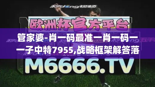 管家婆-肖一码最准一肖一码一一子中特7955,战略框架解答落实_钻石集42.209