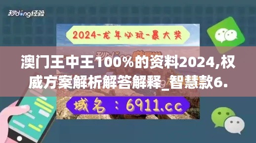 澳门王中王100%的资料2024,权威方案解析解答解释_智慧款6.236