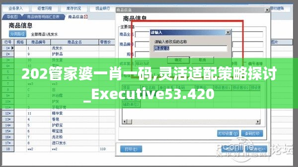 202管家婆一肖一码,灵活适配策略探讨_Executive53.420