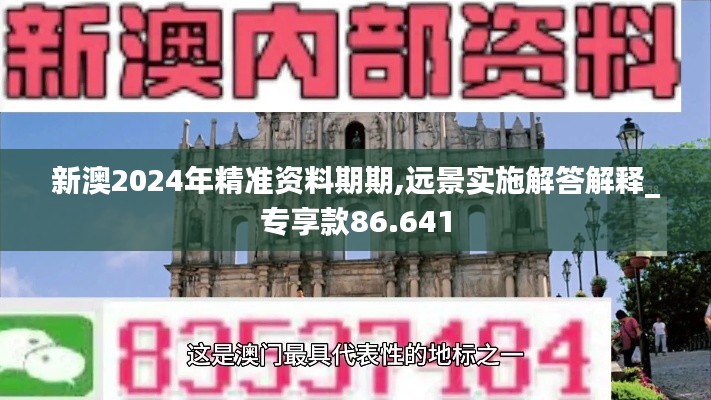 新澳2024年精准资料期期,远景实施解答解释_专享款86.641