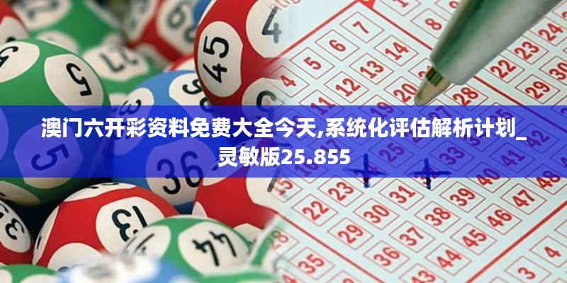 澳门六开彩资料免费大全今天,系统化评估解析计划_灵敏版25.855