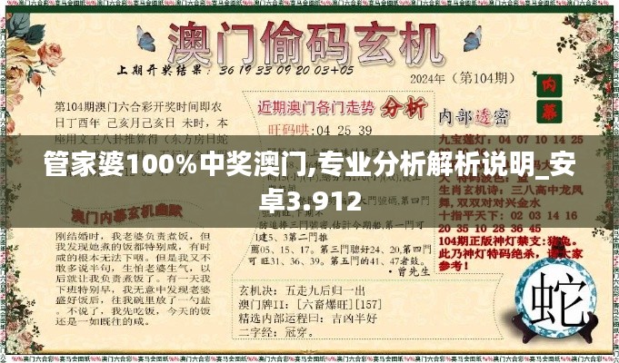 管家婆100%中奖澳门,专业分析解析说明_安卓3.912