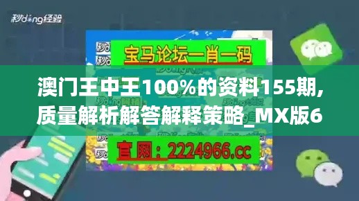 澳门王中王100%的资料155期,质量解析解答解释策略_MX版60.480