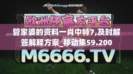 管家婆的资料一肖中特7,及时解答解释方案_移动集59.200