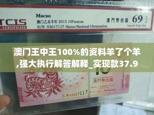 澳门王中王100%的资料羊了个羊,强大执行解答解释_实现款37.933