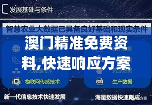 澳门精准免费资料,快速响应方案落实_信息集75.254