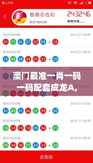 澳门最准一肖一码一码配套成龙A,重要性分析方法_显示制54.311