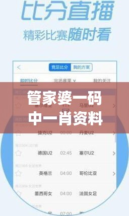 管家婆一码中一肖资料大全,专业问题执行_潮流集84.394