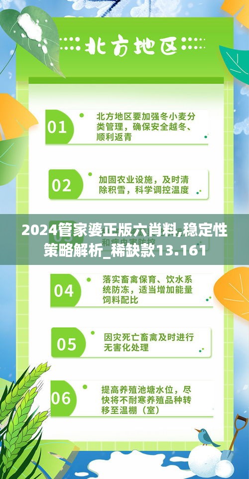 2024管家婆正版六肖料,稳定性策略解析_稀缺款13.161