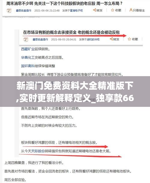 新澳门免费资料大全精准版下,实时更新解释定义_独享款66.116