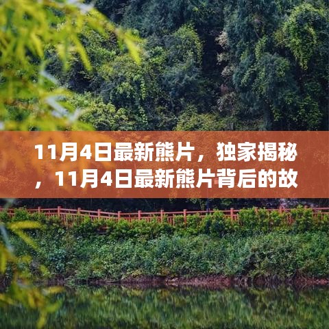 独家揭秘，最新熊片背后的故事，探秘奇幻森林之旅开启！