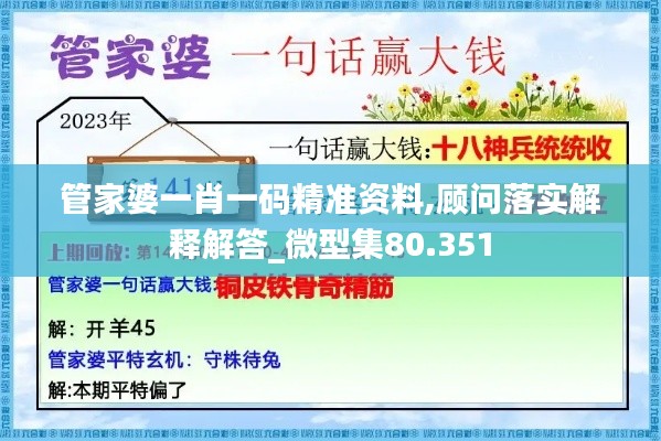 管家婆一肖一码精准资料,顾问落实解释解答_微型集80.351