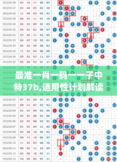 最准一肖一码一一子中特37b,适用性计划解读_高效集39.105