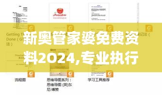 新奥管家婆免费资料2O24,专业执行方案_高端款70.385