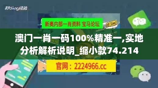 澳门一肖一码100%精准一,实地分析解析说明_缩小款74.214