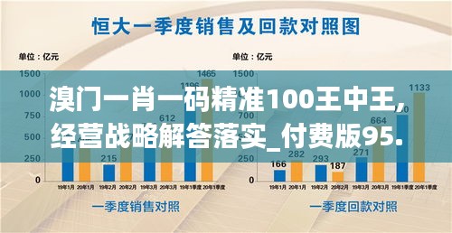 溴门一肖一码精准100王中王,经营战略解答落实_付费版95.247