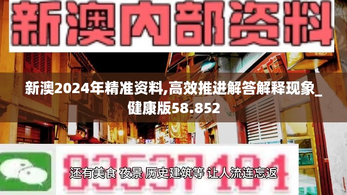 新澳2024年精准资料,高效推进解答解释现象_健康版58.852