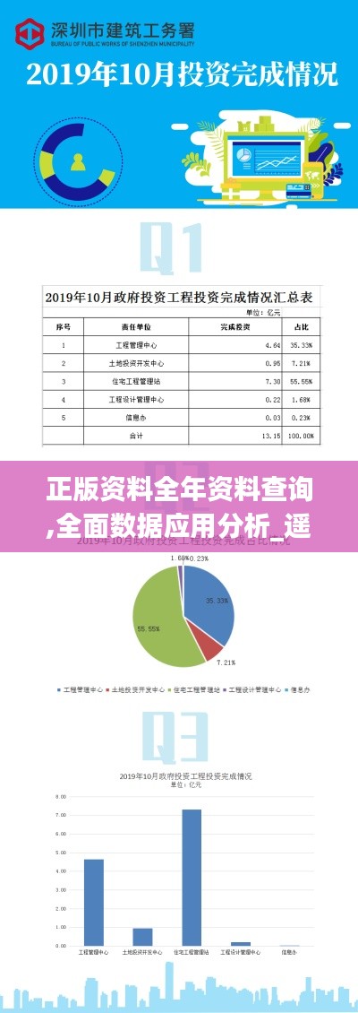 正版资料全年资料查询,全面数据应用分析_遥控版61.910